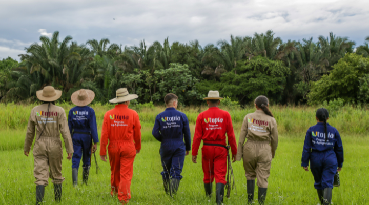 2. Laboratorio de Paz