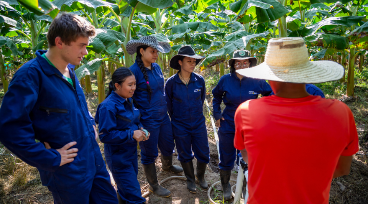 Programa de formación para el liderazgo social, político y productivo