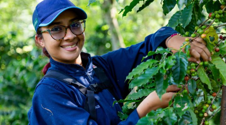 Imagen tomada en Utopía