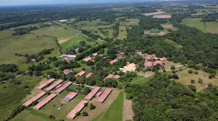 Elección de regiones