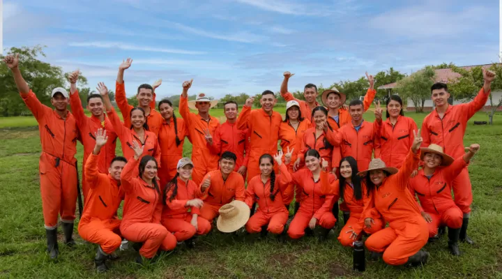 Proceso de selección