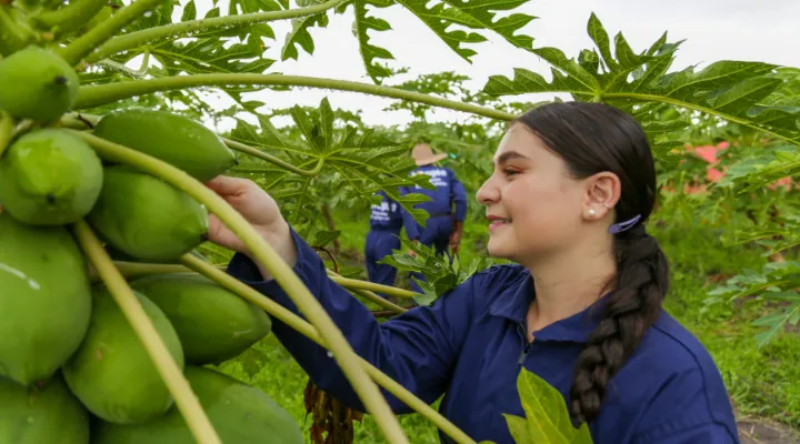 Emprendimiento rural