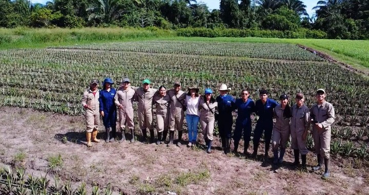 Cromatógrafo_líquido