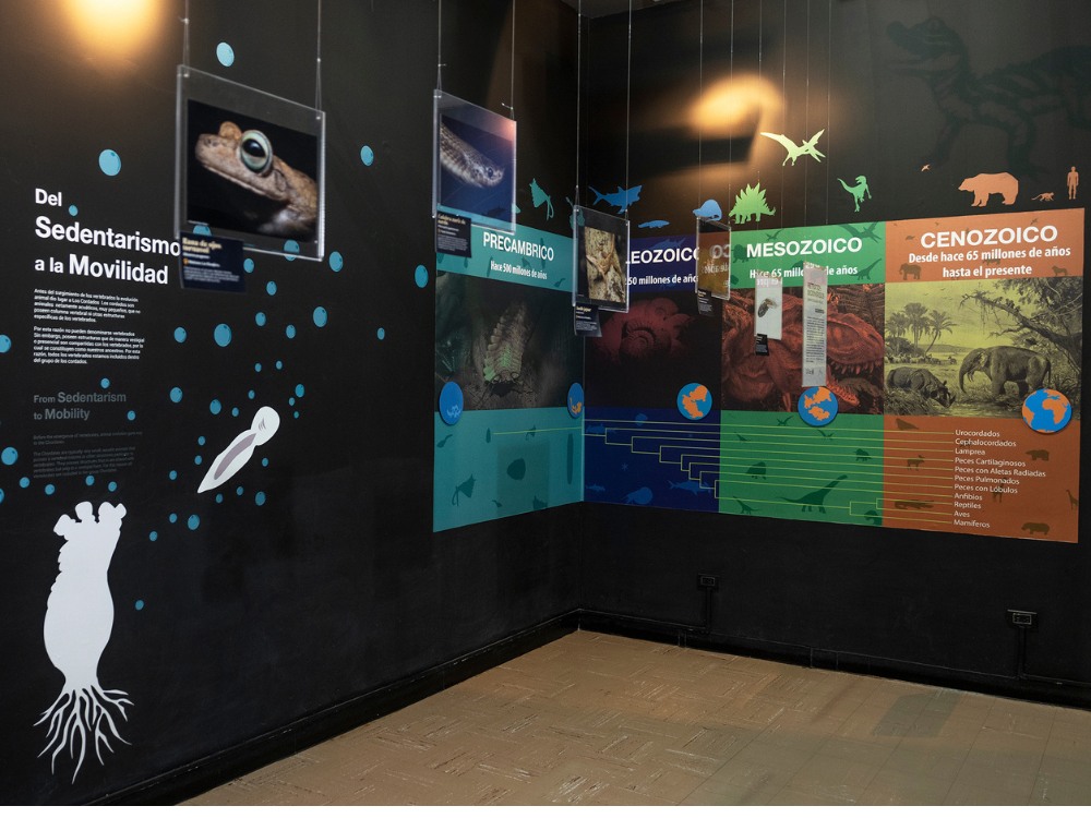 Exposiciones permanentes