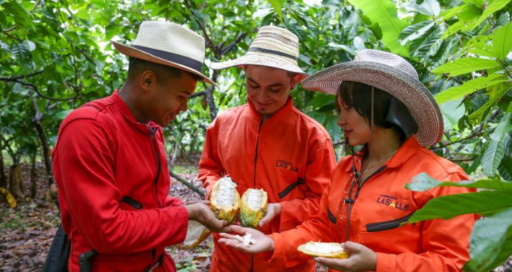 Jóvenes productores de utopía