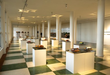 Colección de vertebrados
