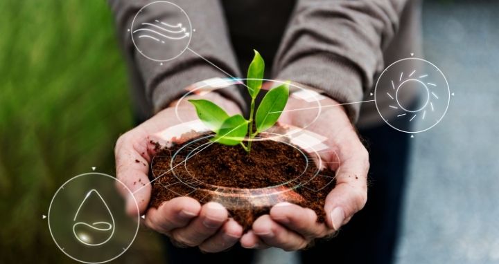 Representación de la bioeconomía y su relación con los territorios, la biodiversidad y los recursos naturales