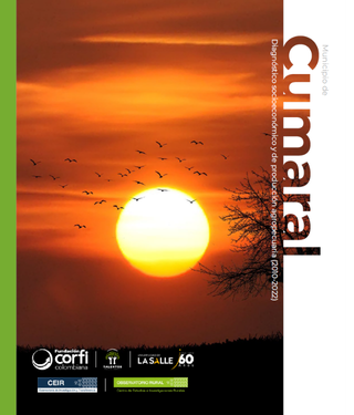 Comprensión de la ruralidad de Cumaral