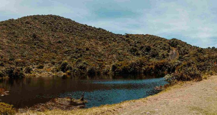 Estrategias de reexistencia campesina en la vereda Los Soches