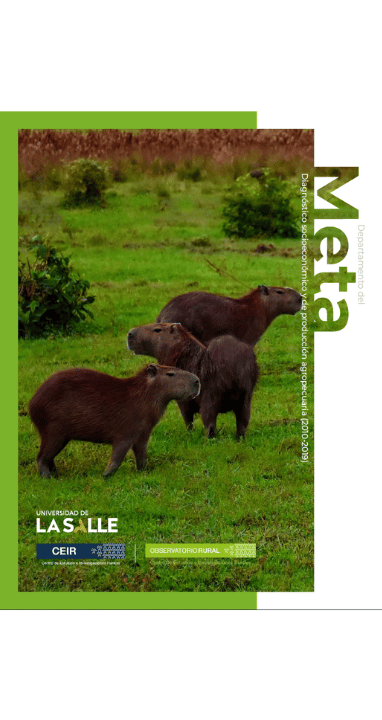 Paisaje rural y producción agropecuaria del departamento del Meta
