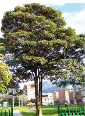 Imagen por defecto