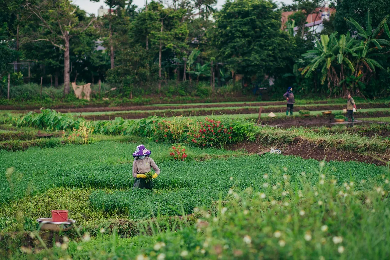 Potenciar el campo y las economías campesinas