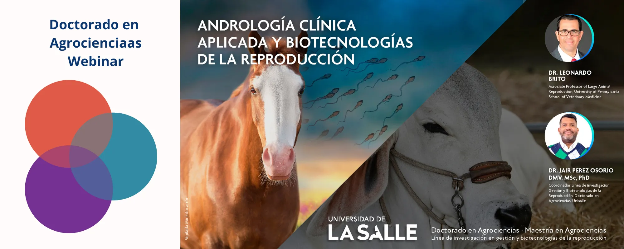 Webinar Agrociencias (Andrología clínica)