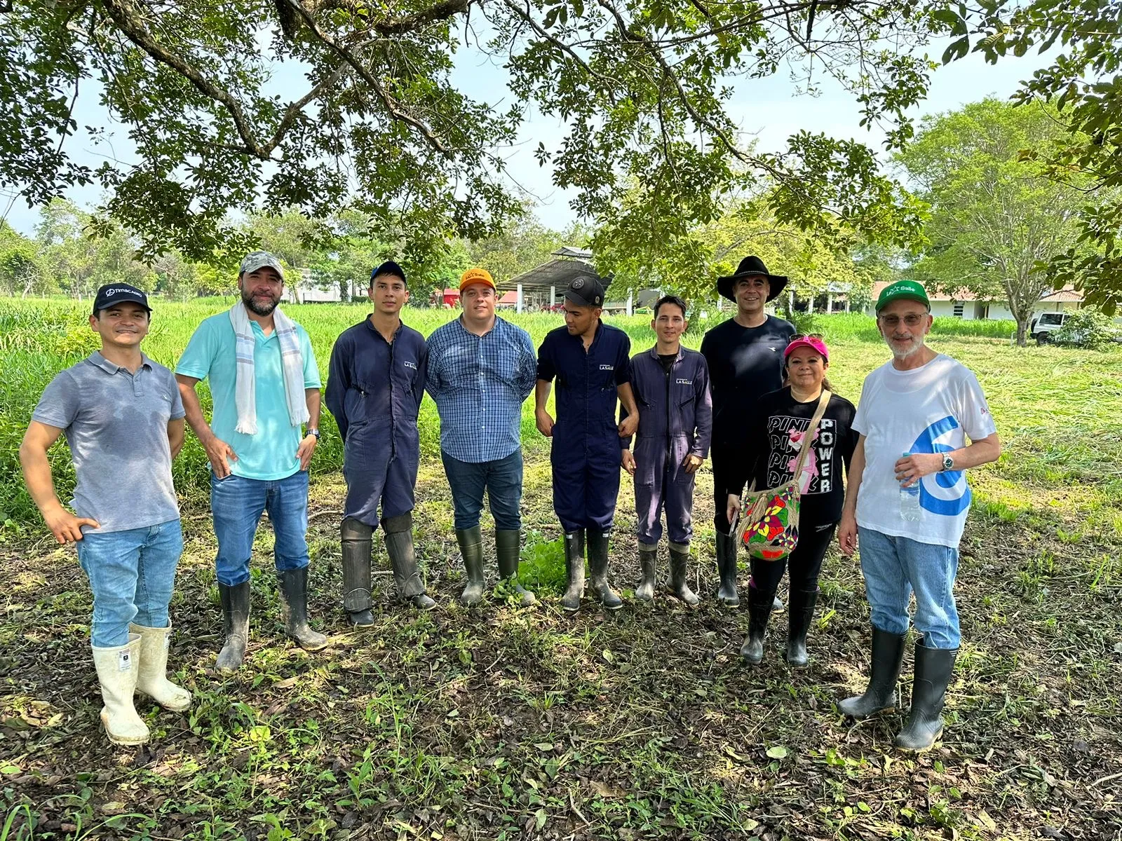 Aporte de Ingeniería de software en Yopal y Utopía