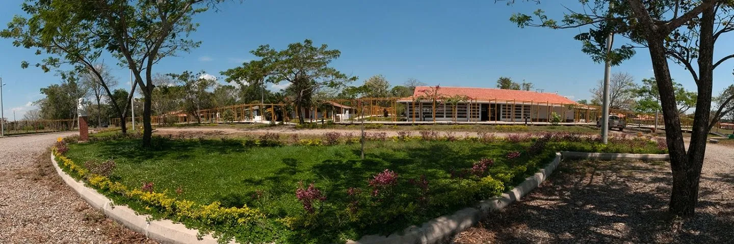 La educación como fundamento para la construcción de paz