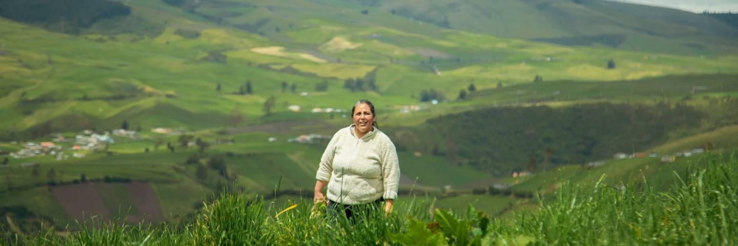 Cátedra rural: labrando conocimientos