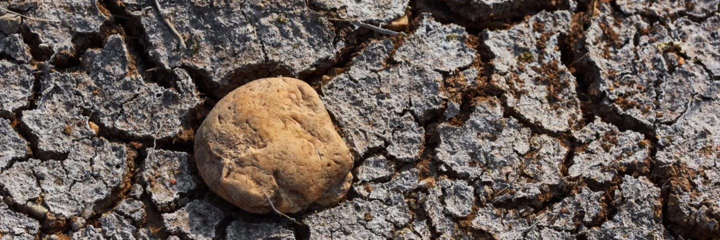 Consecuencias climáticas que deja el fenómeno de El Niño en Colombia
