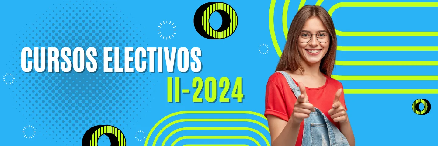 Cursos Electivos II-2024