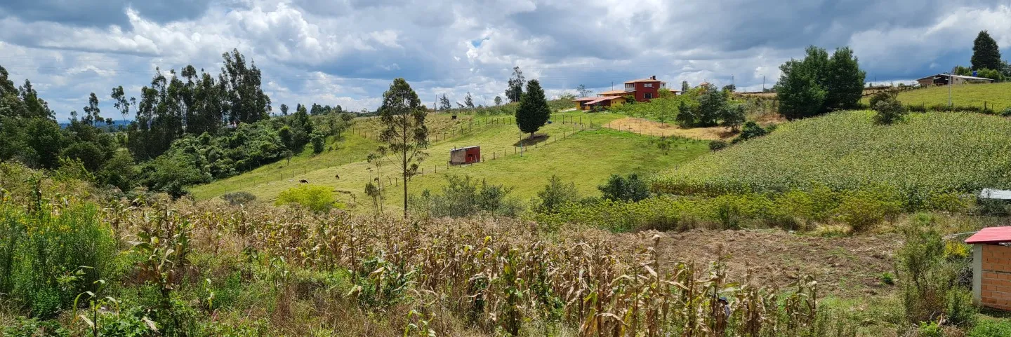 Desde el CEIR y el Observatorio se dice: