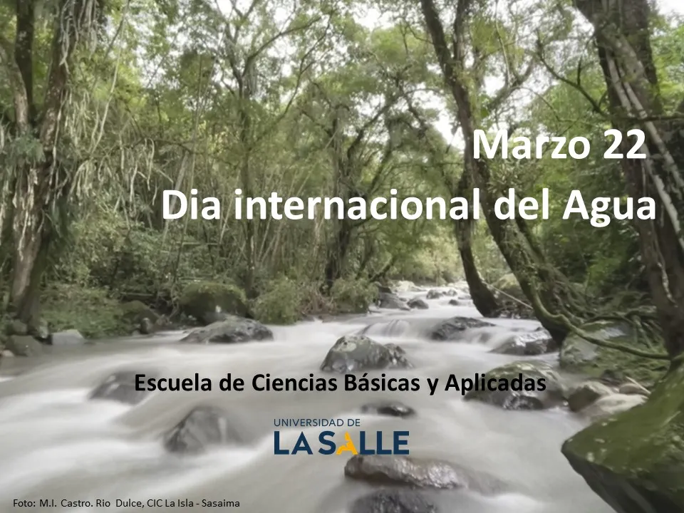 Día Internacional del agua