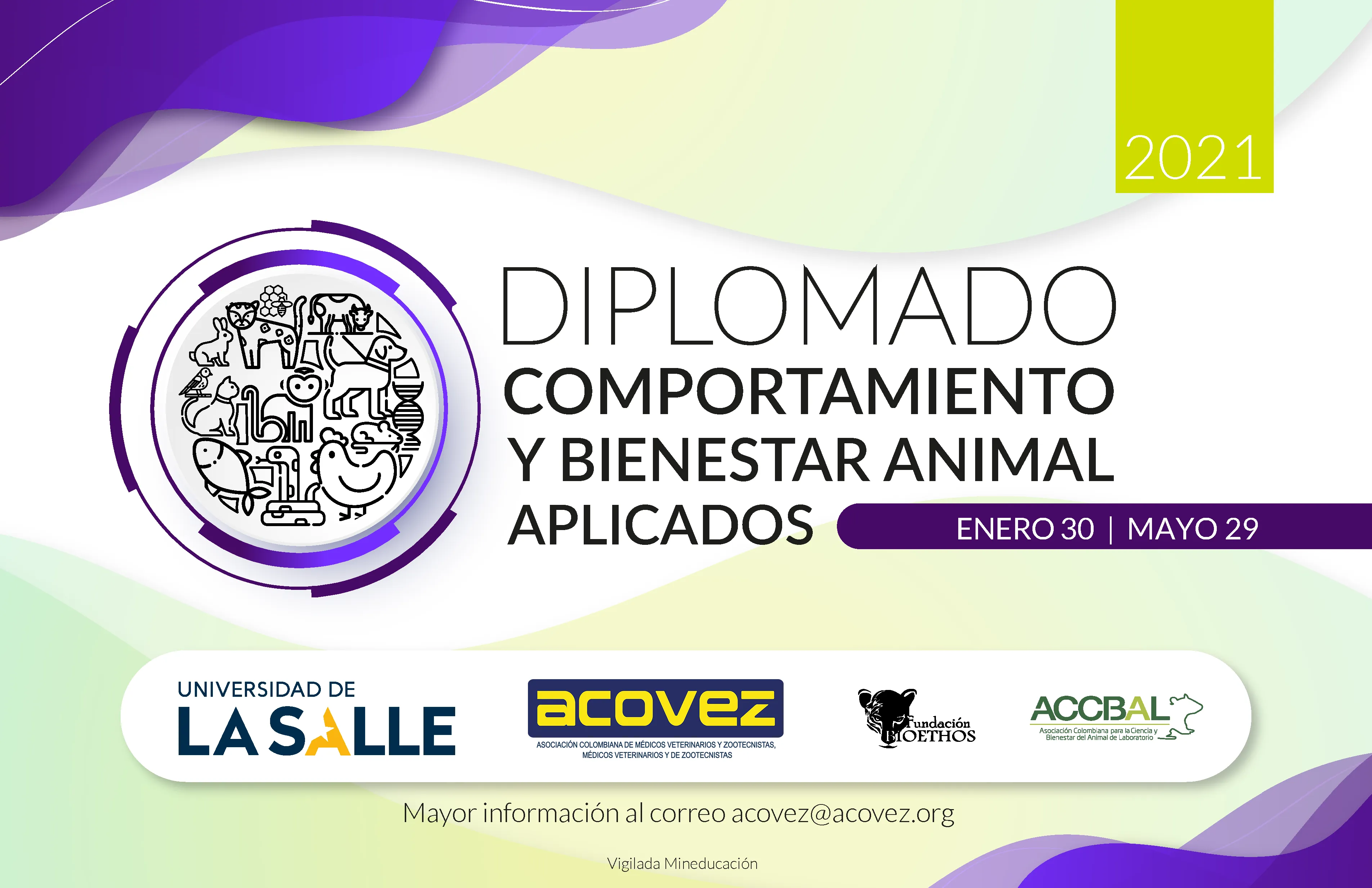 Finalizamos con éxito el Diplomado en Comportamiento y Bienestar Animal...