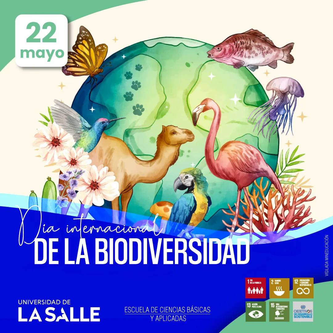 Día Internacional de la diversidad biológica