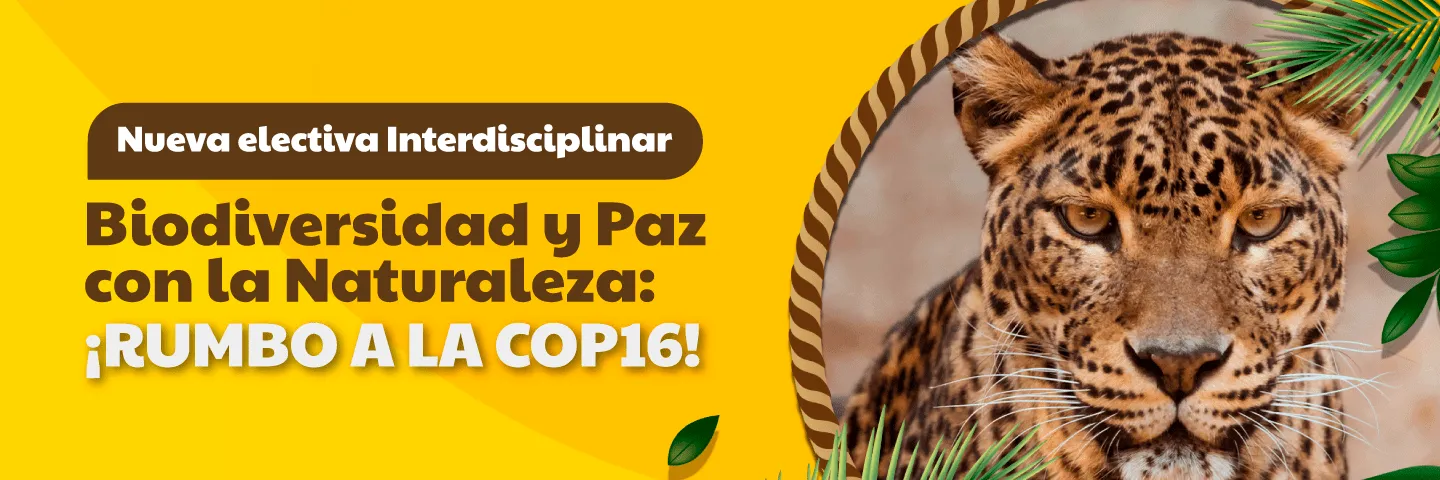 Lanzamiento de la Cátedra Paz con la Naturaleza y su Electiva Inaugural