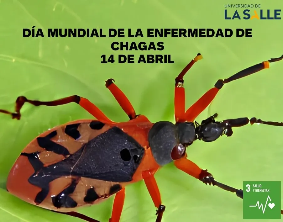 Dia Internacional de la enfermedad de Chagas