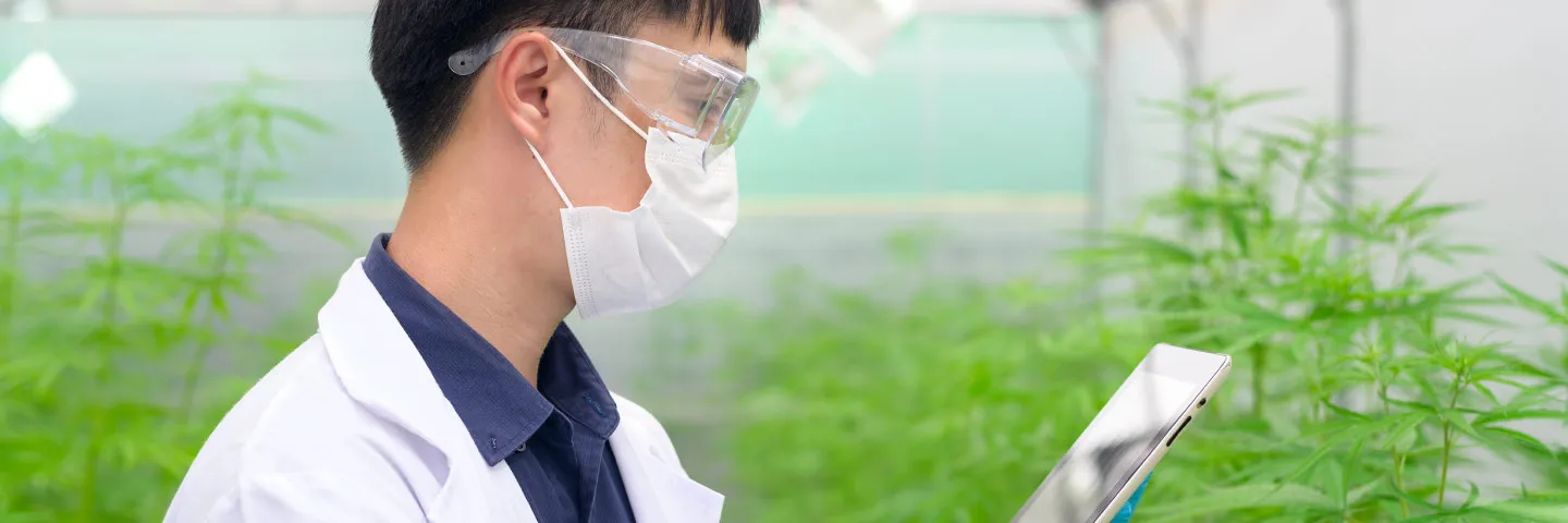 Unisalle presente en ExpoCannaBiz