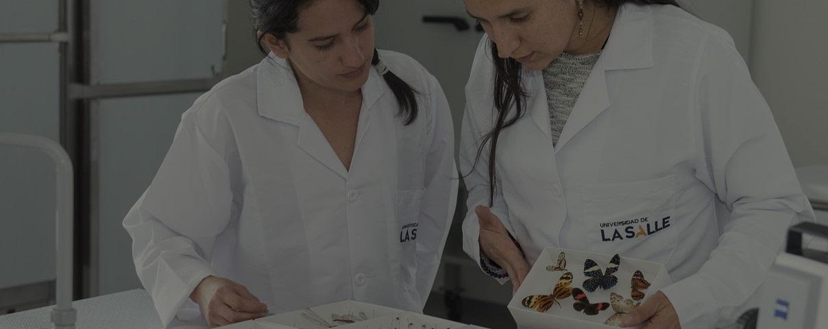 Grupos de investigación