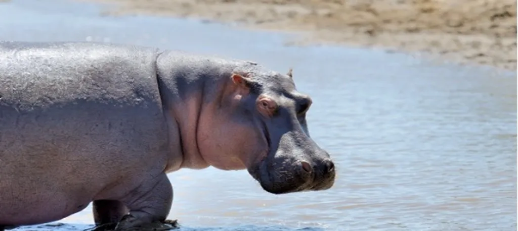 Unisalle presente en la mesa de expertos del Min. de Ambiente sobre manejo de...