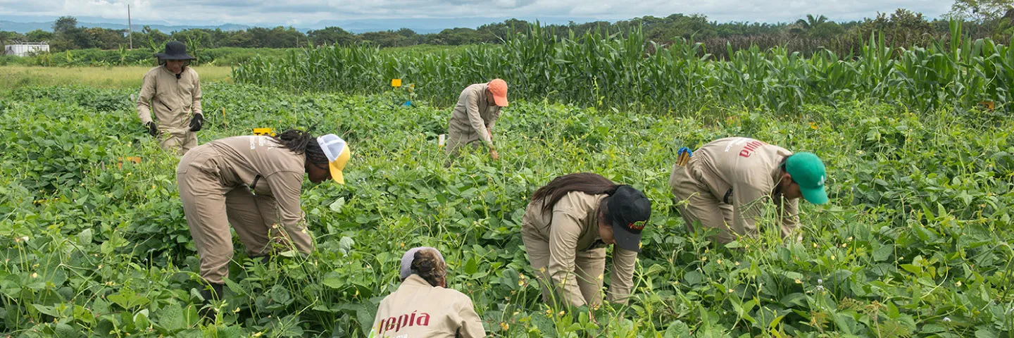 Un nuevo logro para el proyecto Utopía