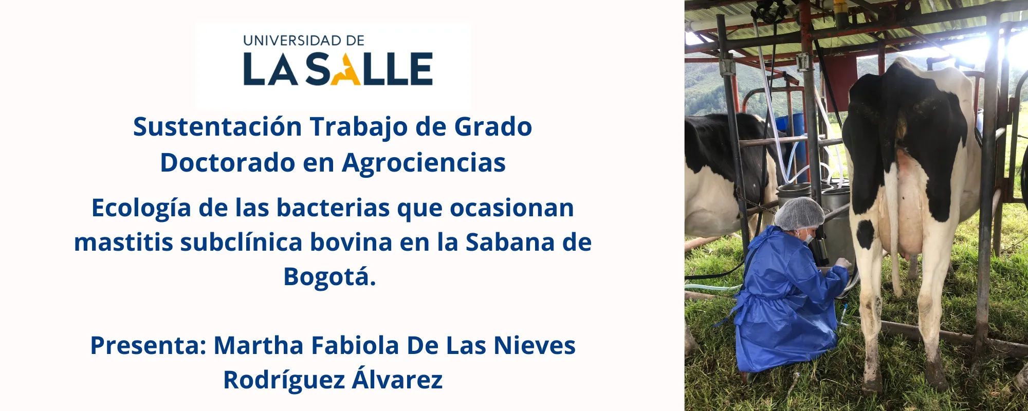 Agrociencias (Ecología de las bacterias que ocasionan mastitis subclínica...