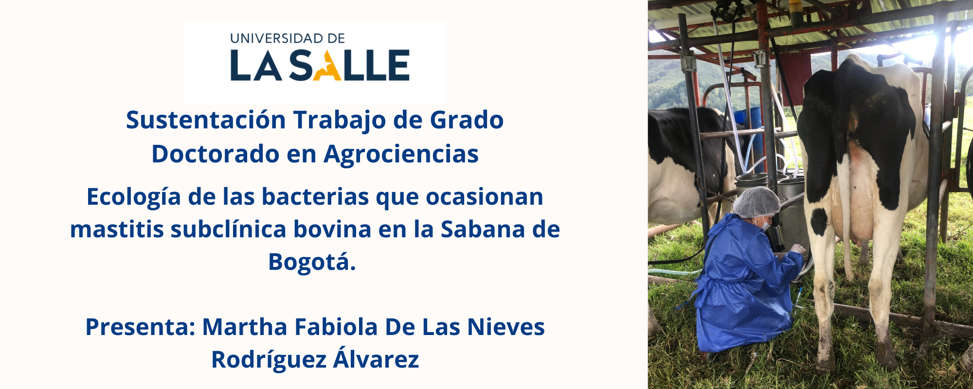 Agrociencias (Ecología de las bacterias que ocasionan mastitis subclínica...