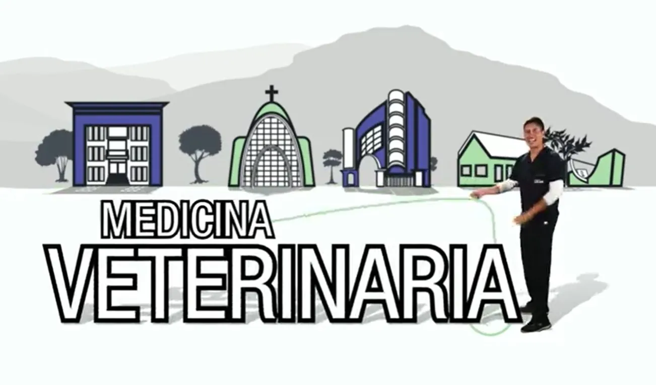 El programa de Medicina Veterinaria está contigo y en comunicación permanente
