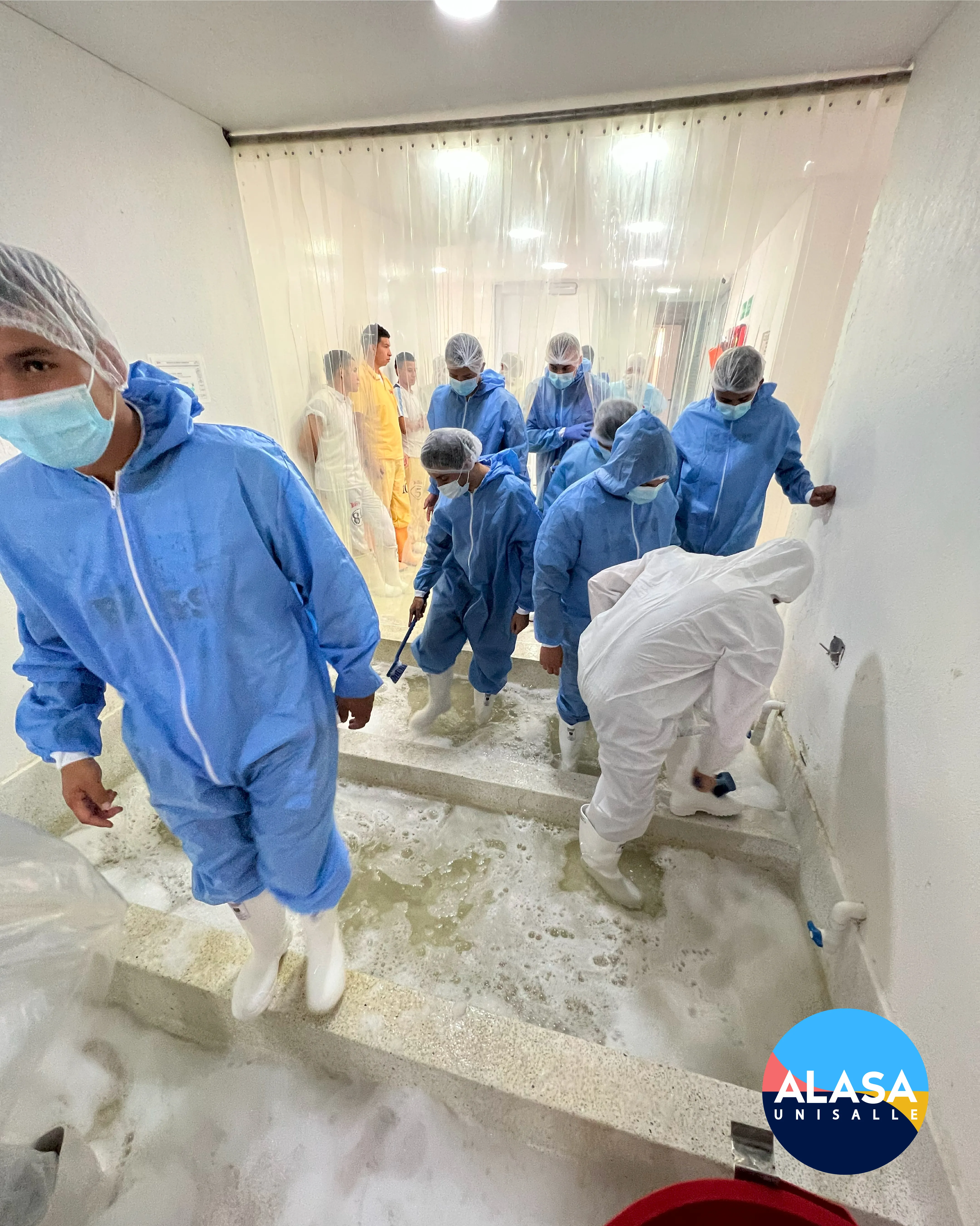 Normatividad-Requisitos Exportadores