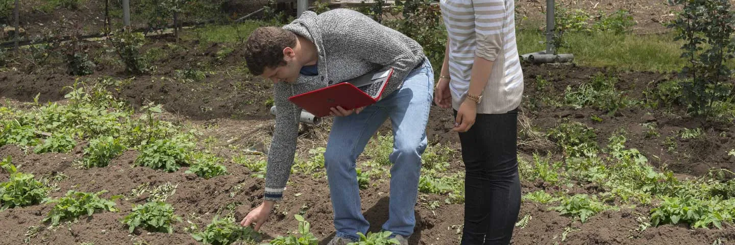 Unisalle presente en Plenaria de Naciones Unidas