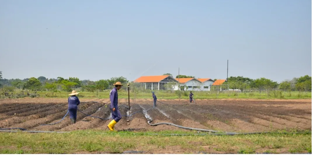 Doctorado y Maestría en Agrociencias (Programas en Yopal)