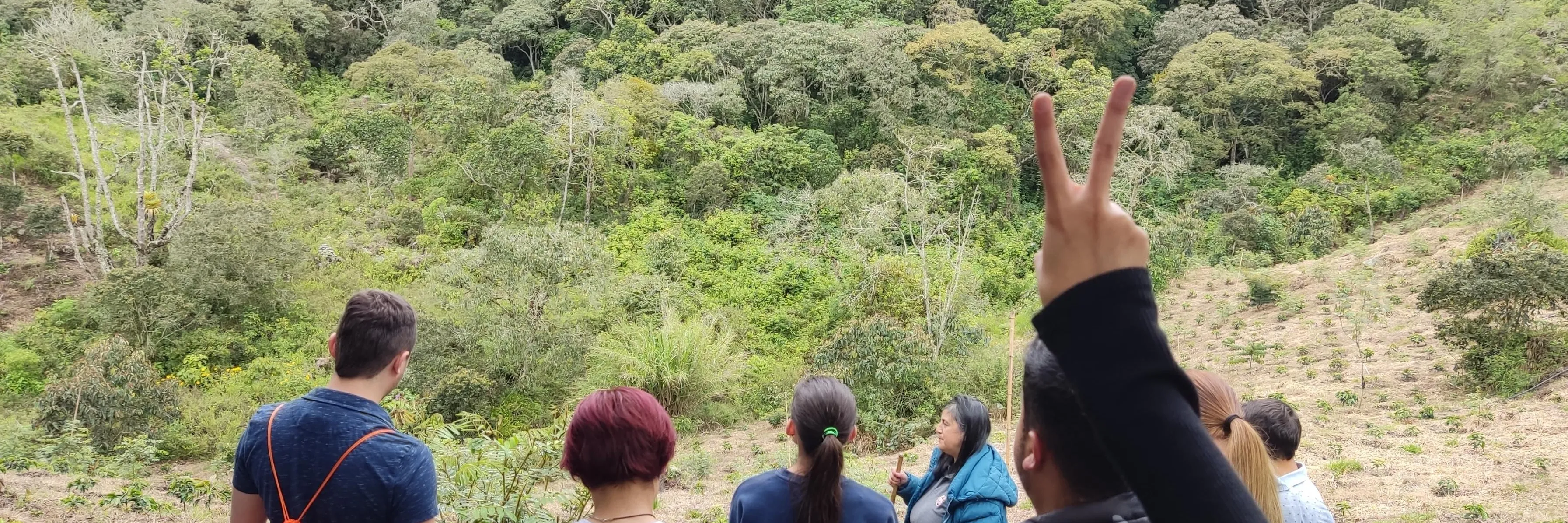 Listado estudiantes postulados a comités de programas