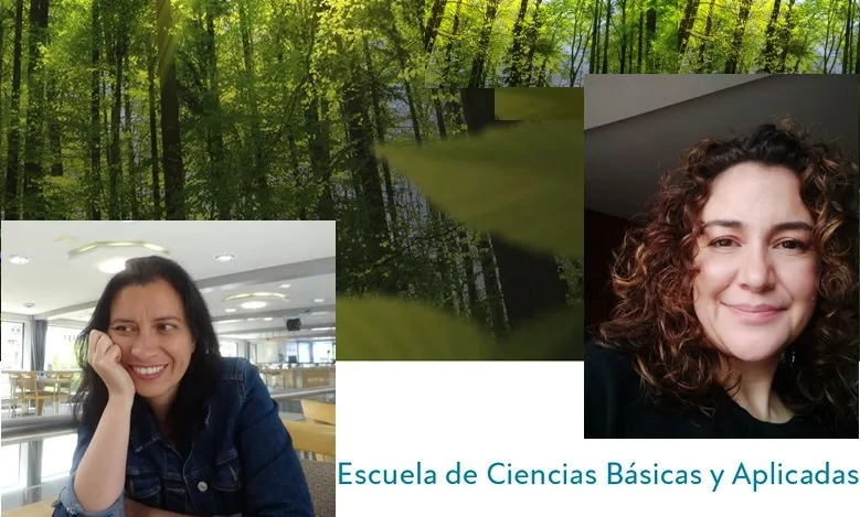 Representante profesoral del ECBA