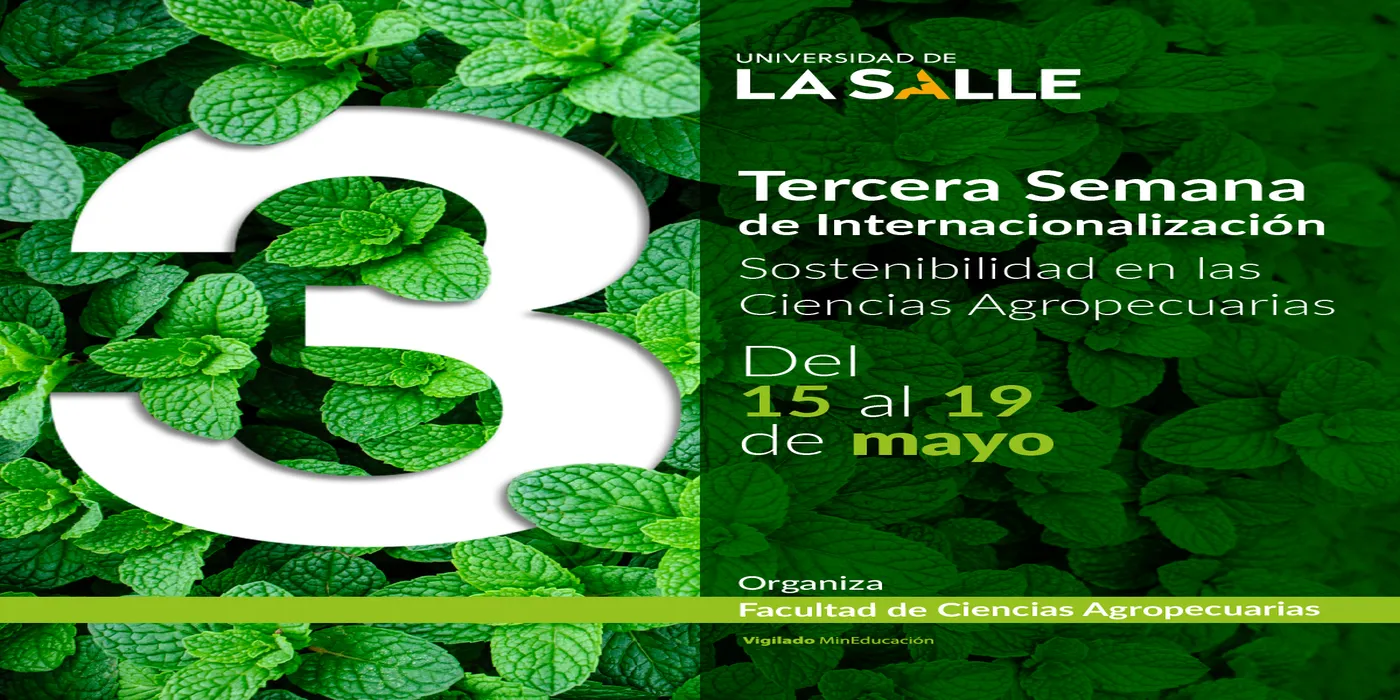 Tercera semana de internacionalización