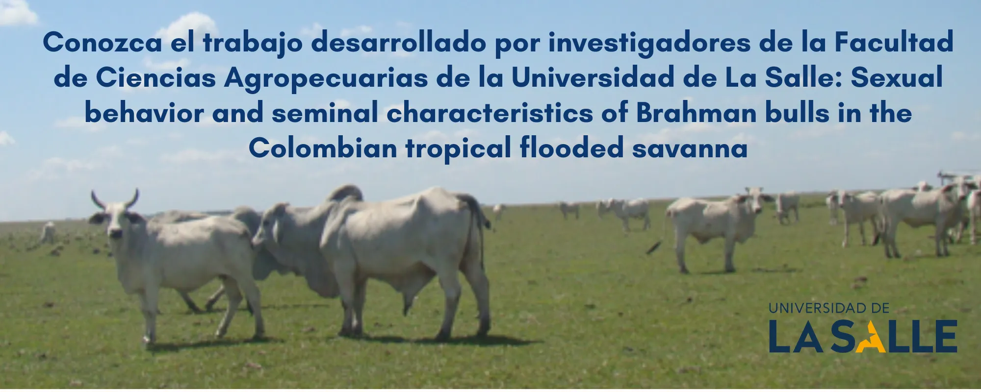 Doctorado y Maestría en Agrociencias ( Sexual behavior and seminal...