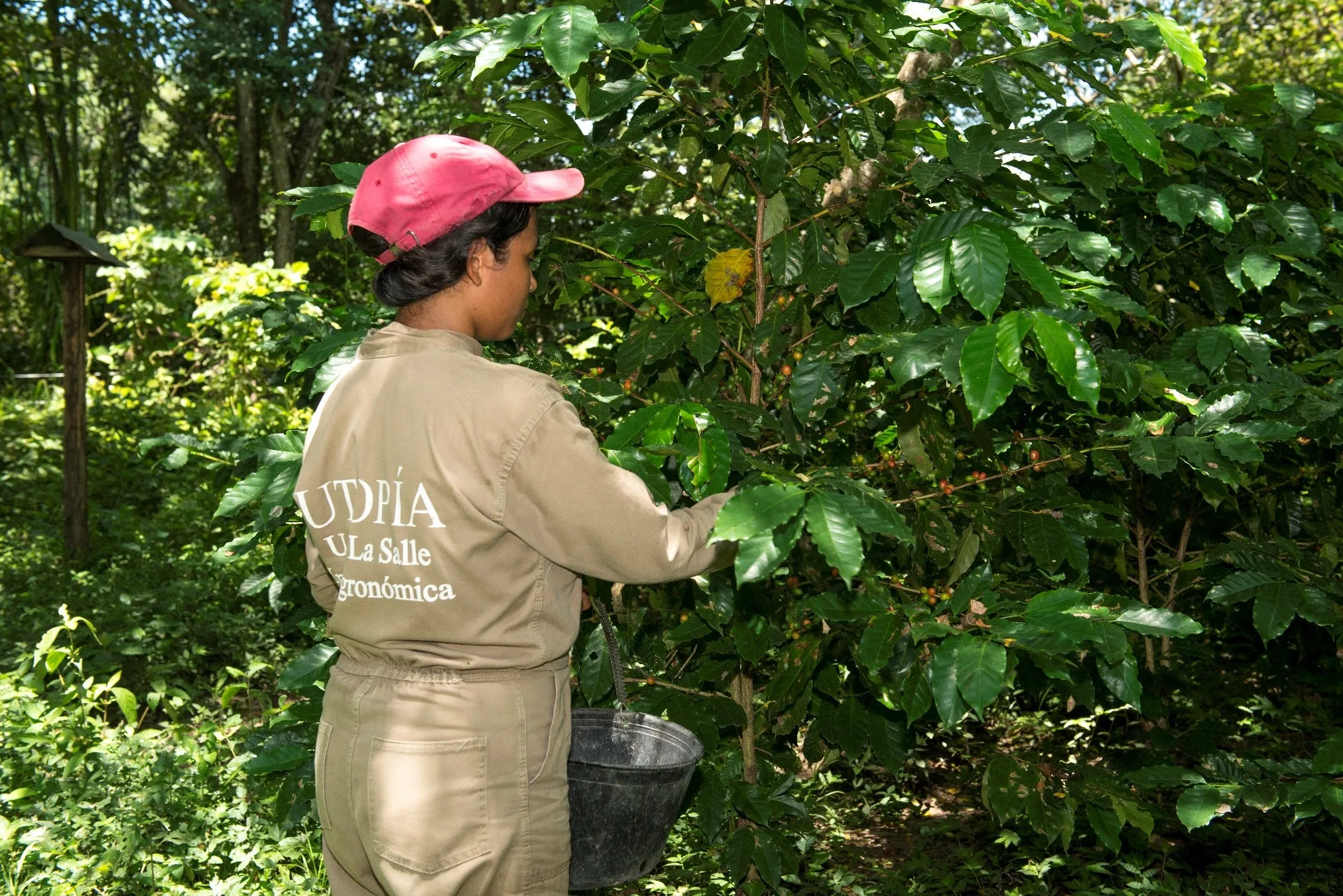 Jóvenes de Utopía continúan aportando al progreso de sus regiones