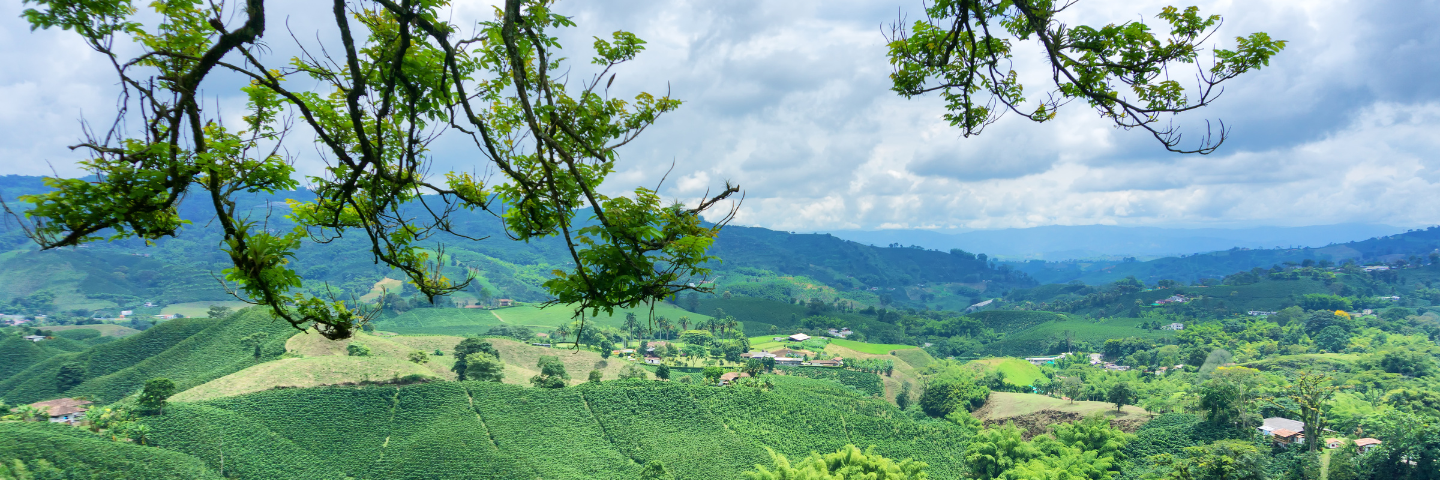 El CEIR presenta caracterización rural de algunas zonas de Colombia