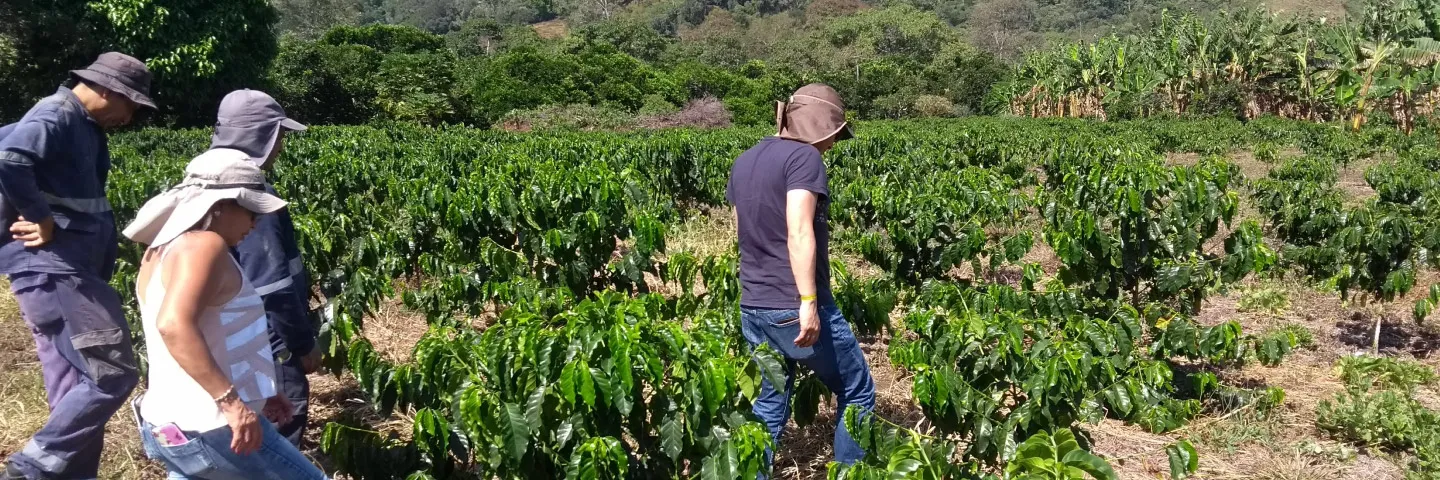 ¿Por qué es tan importante la agricultura de conservación?