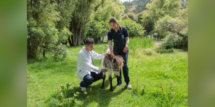 Docentes de la Universidad de La Salle reconocidas por sus aportes en el bienestar animal