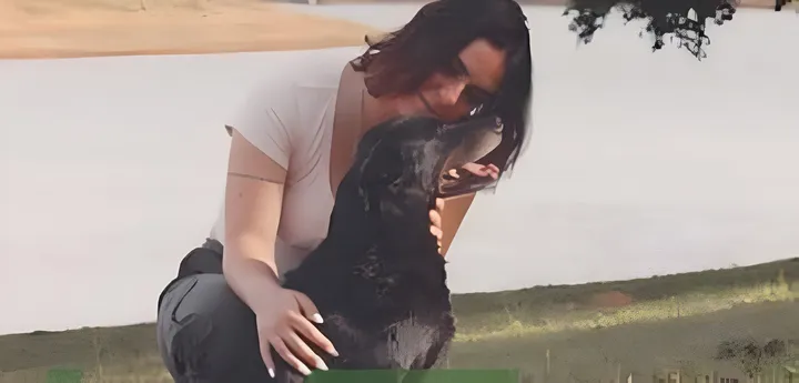 Protocolo animales de compañía