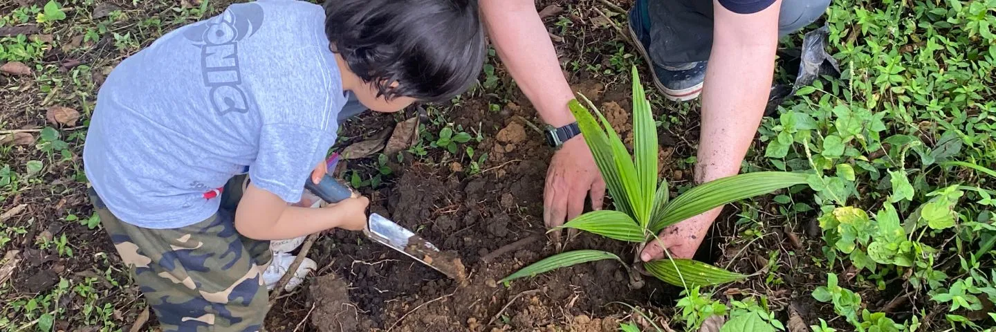 Un aporte valioso al medio ambiente
