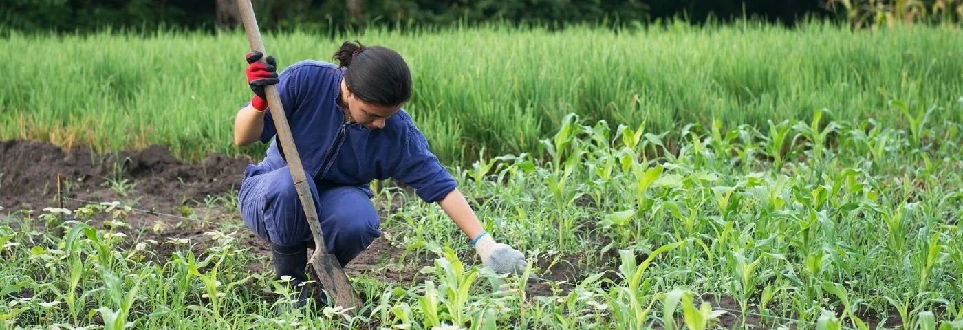 Centro de Estudios e Investigaciones Rurales (CEIR): apuesta lasallista por la...
