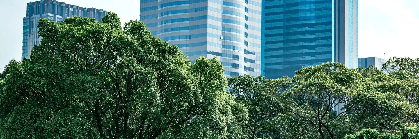 La arquitectura sostenible: el futuro de todo